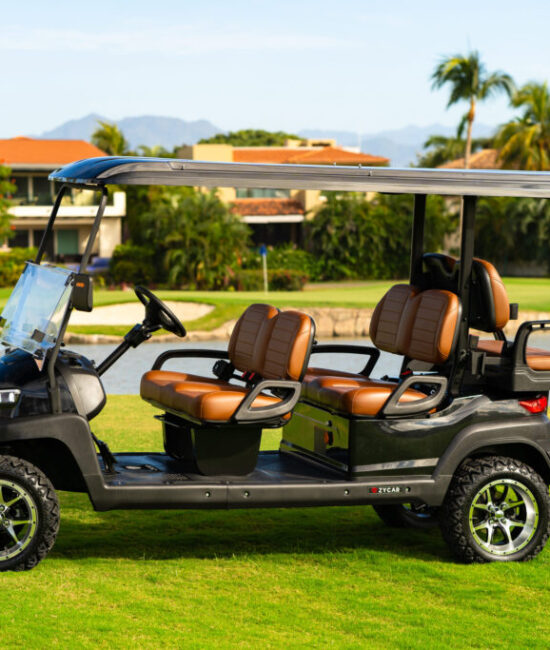 Zycar_Vallarta_01 Zycar_Vallarta_01