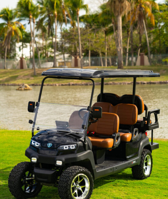 Zycar_Vallarta_02 Zycar_Vallarta_02