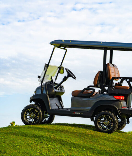 Zycar_Vallarta_13 Zycar_Vallarta_13