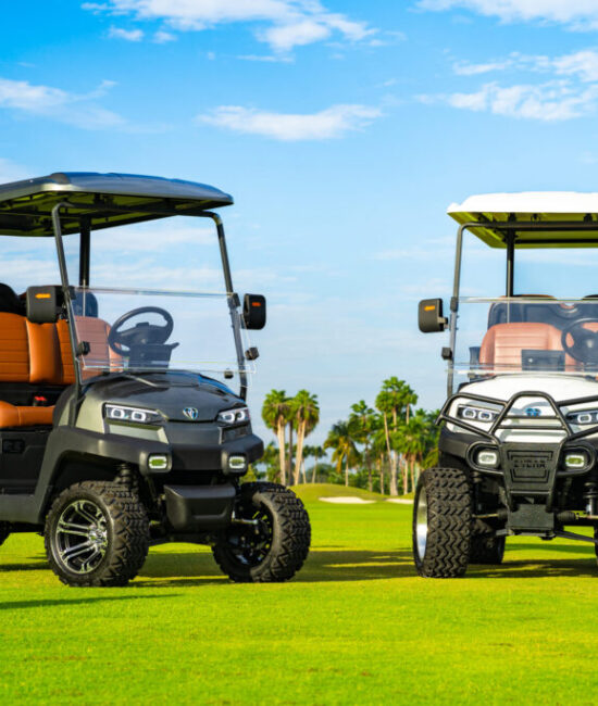 Zycar_Vallarta_15 Zycar_Vallarta_15