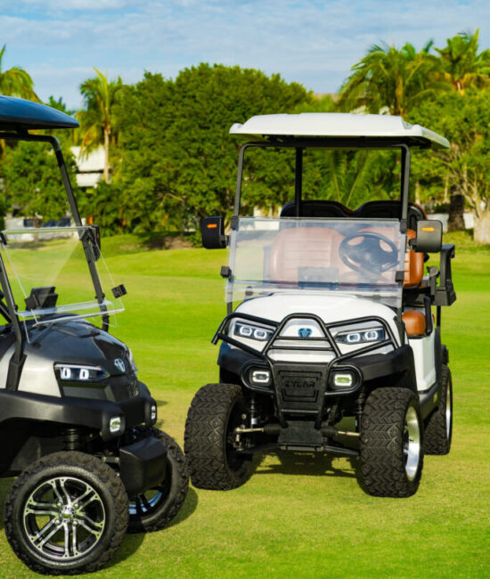 Zycar_Vallarta_18 Zycar_Vallarta_18