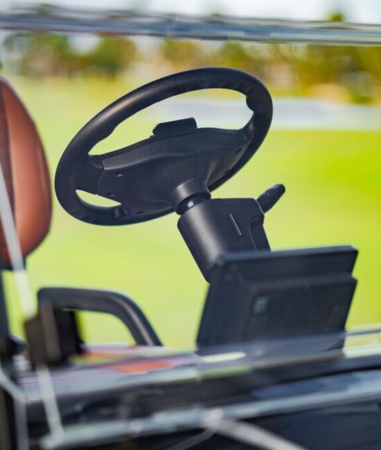 Zycar_Vallarta_34 Zycar_Vallarta_34