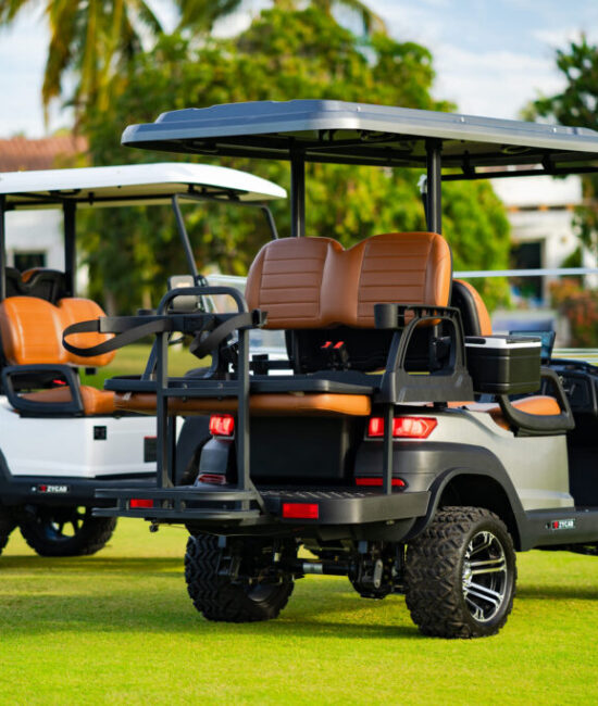 Zycar_Vallarta_36 Zycar_Vallarta_36