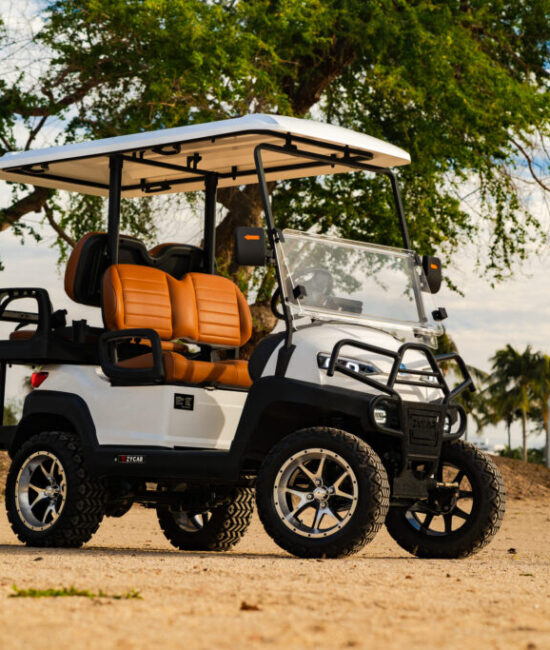 Zycar_Vallarta_45 Zycar_Vallarta_45