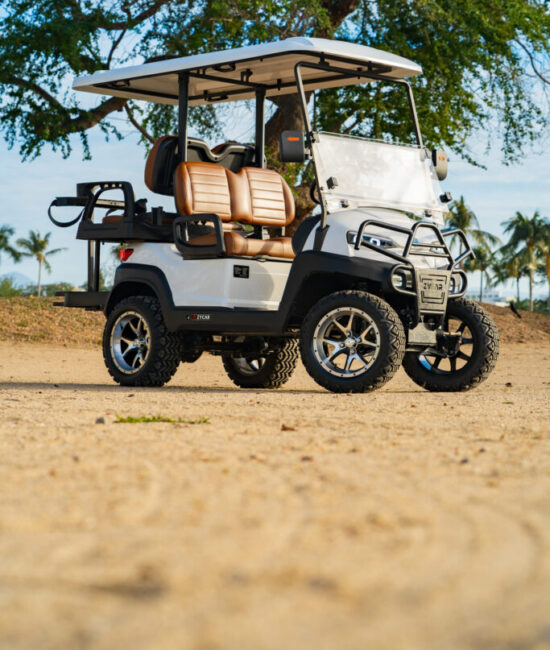 Zycar_Vallarta_47 Zycar_Vallarta_47