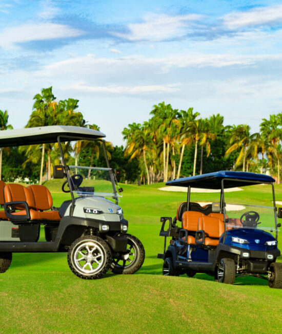 Zycar_Vallarta_50 Zycar_Vallarta_50