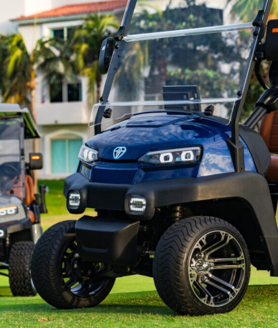 Zycar_Vallarta_61 Zycar_Vallarta_61