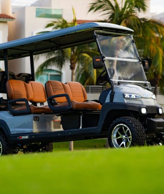 Zycar_Vallarta_64 Zycar_Vallarta_64