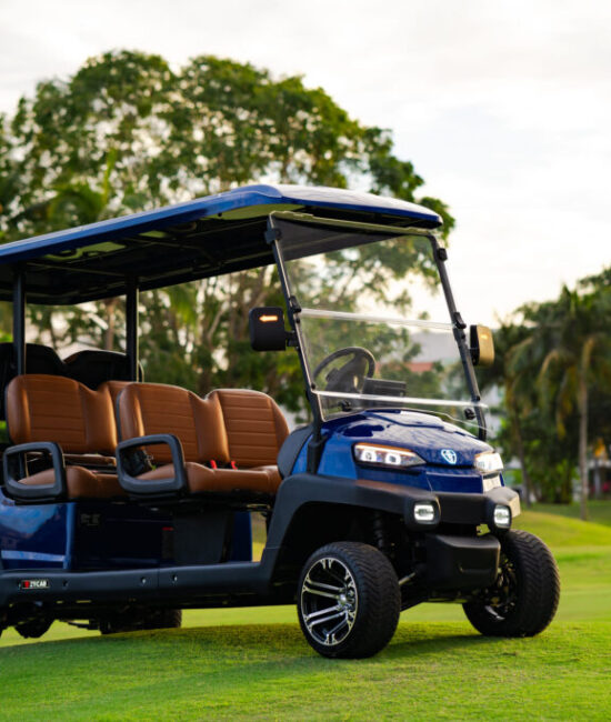 Zycar_Vallarta_66 Zycar_Vallarta_66